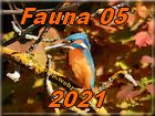 fauna 05
